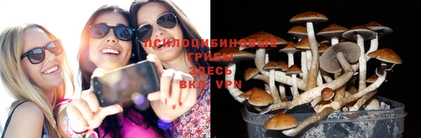 кокс Армянск