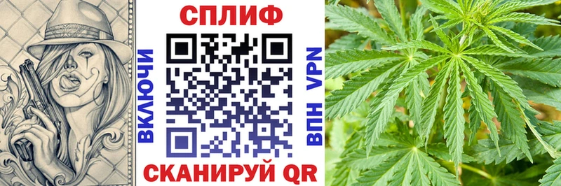 Канабис White Widow  сколько стоит  Урень 